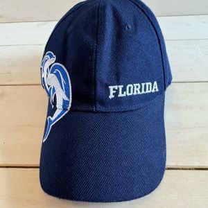 Florida Dolphins Embroidery Baseball Hat Cap Adjustable Adult